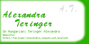 alexandra teringer business card